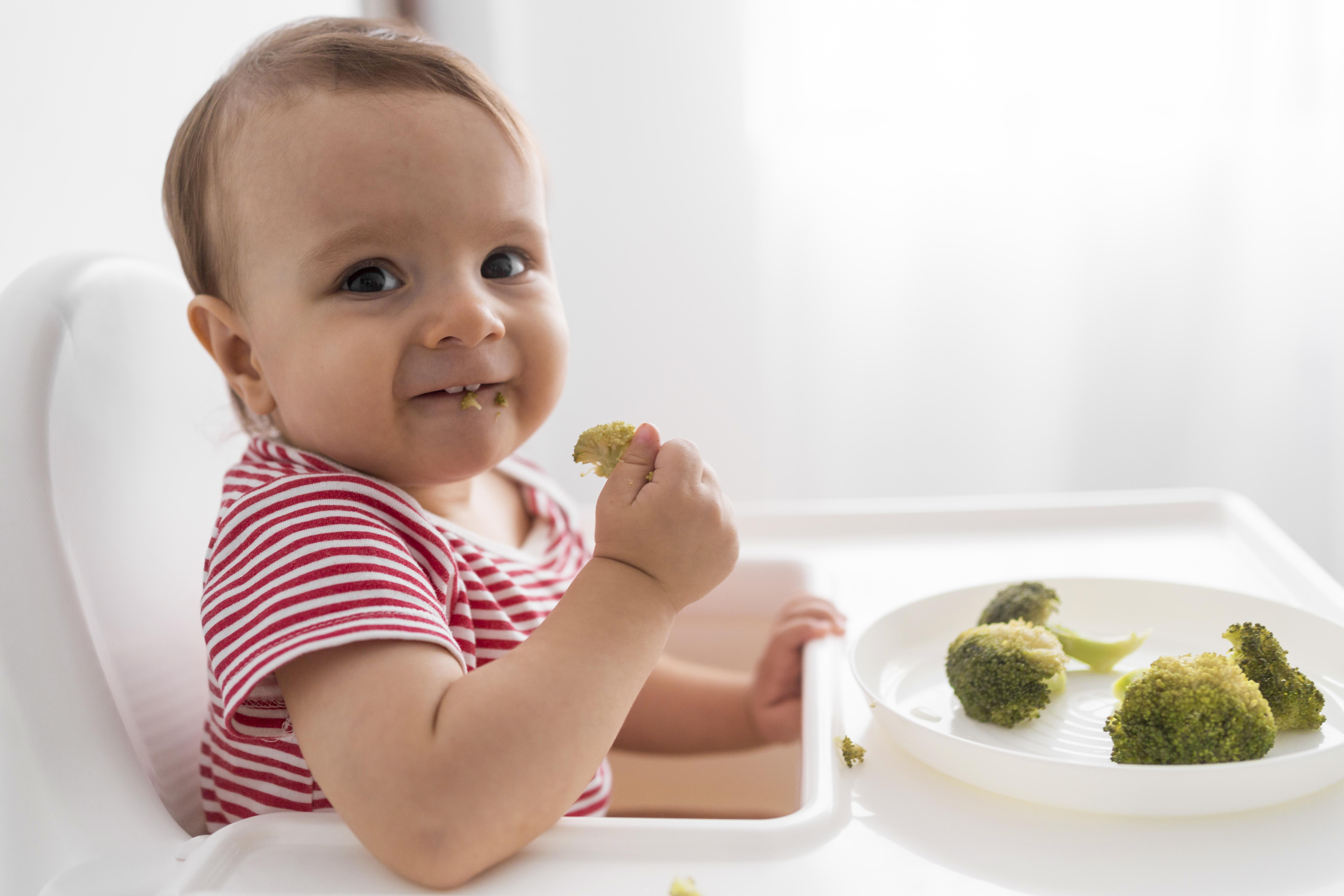 Toddler and Child Nutrition: What Every Parent Needs to Know